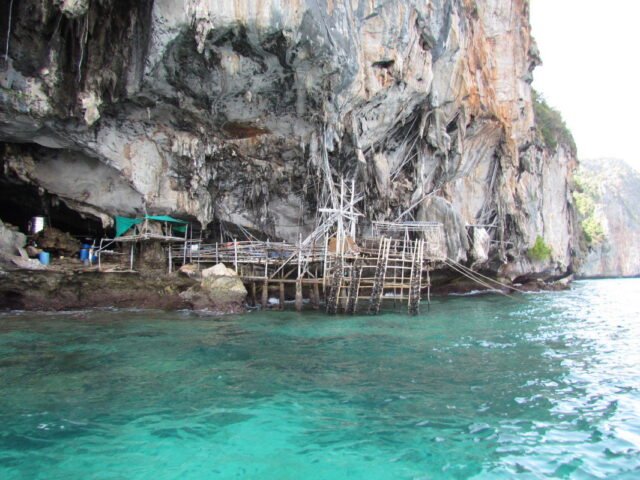 Phi Phi Bamboo Island Maya Bay One Day Trip - Image 7