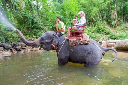 Elephant Trekking Khao Lak Safari 1
