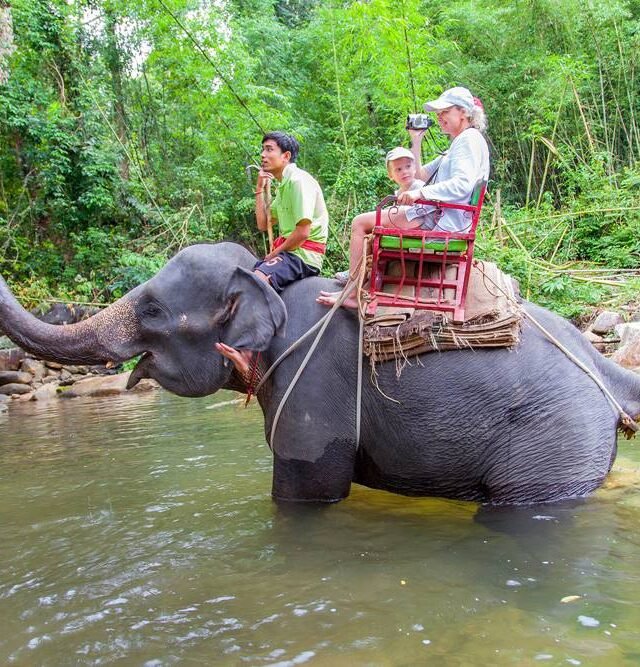 Elephant Trekking Khao Lak Safari 1