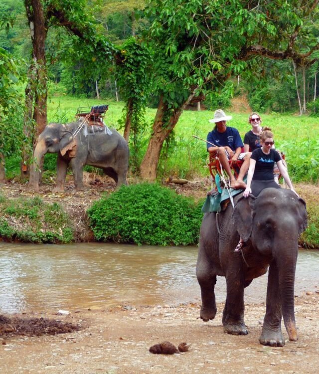 Elephant Trekking Khao Lak Safari