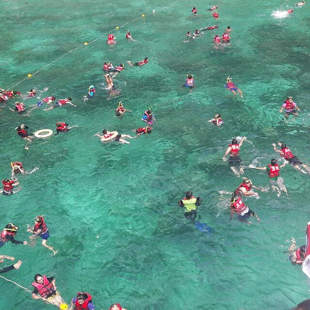 Phi Phi Island Big Boat Tour Snorkeling