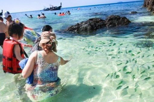 Phi Phi Islands Quality Tour Khai Bay