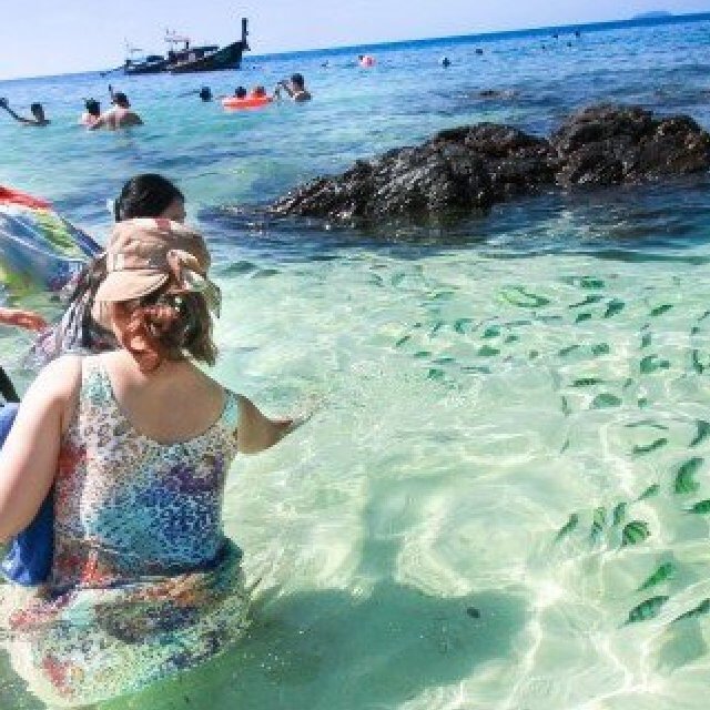 Phi Phi Islands Quality Tour Khai Bay