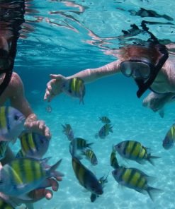 Phi Phi Islands Quality Tour Snorkeling