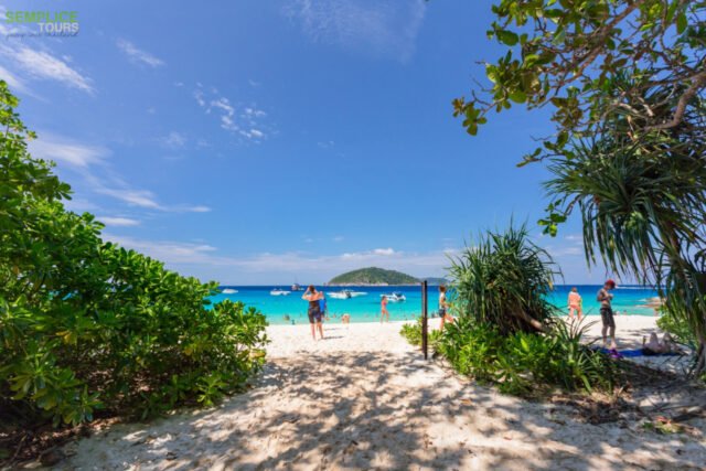 Similan-Island-Premium-Day-Trip-2