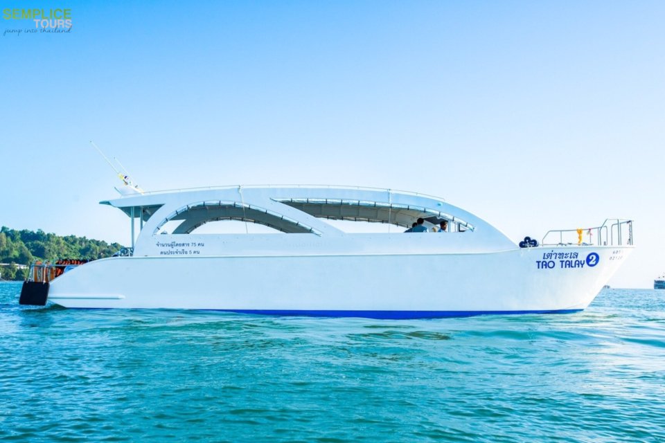 premium speed catamaran