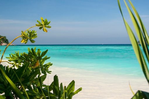 Similan Islands Tour Premium Beach
