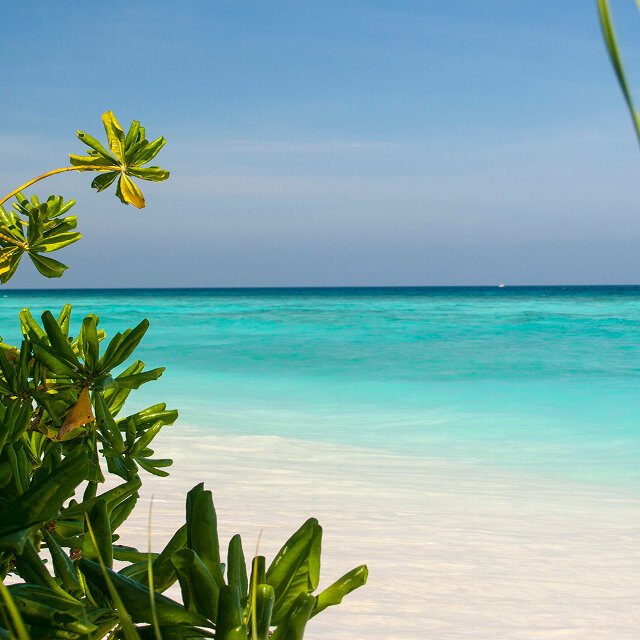 Similan Islands Tour Premium Beach