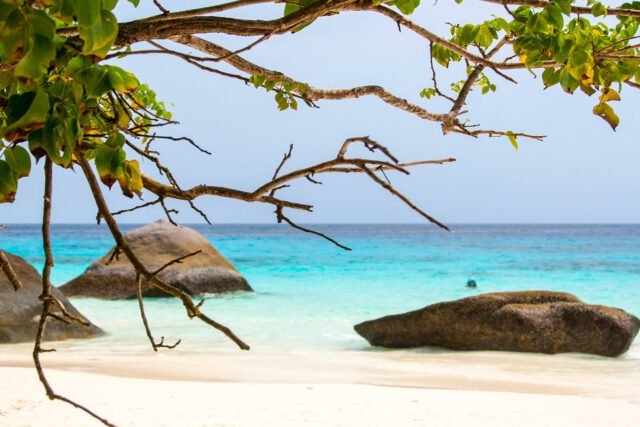 Similan Islands Tour Premium View Talay