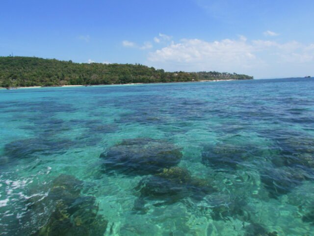 Phi Phi Bamboo Island Maya Bay One Day Trip - Image 2