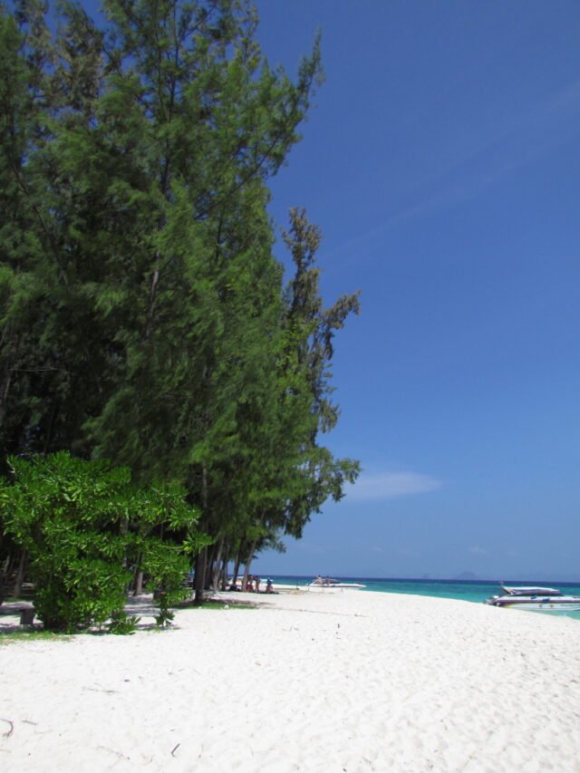 Phi Phi Bamboo Island Maya Bay One Day Trip - Image 3
