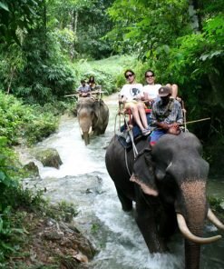 khao sok safari day tour 1