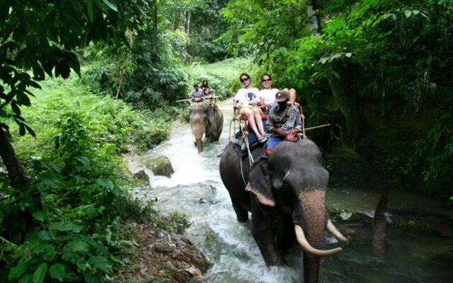 khao sok safari day tour 1