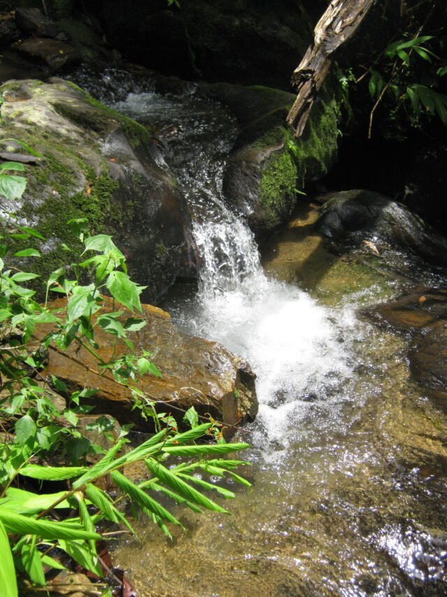khao sok safari day tour 10