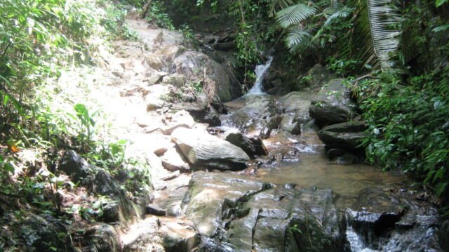 khao sok safari day tour 11