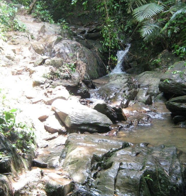 khao sok safari day tour 11