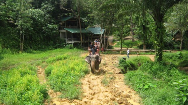 khao sok safari day tour 12