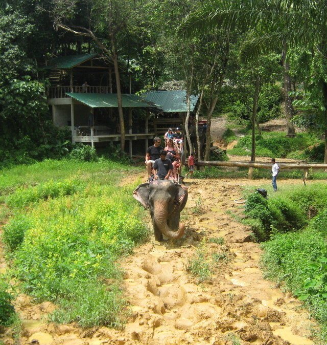 khao sok safari day tour 12