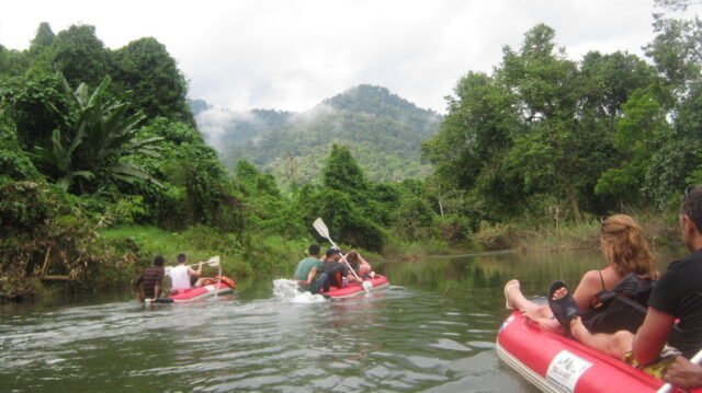 khao sok safari day tour 2