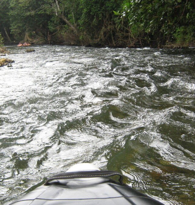 khao sok safari day tour 6