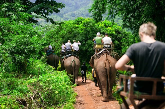 khao sok safari day tour
