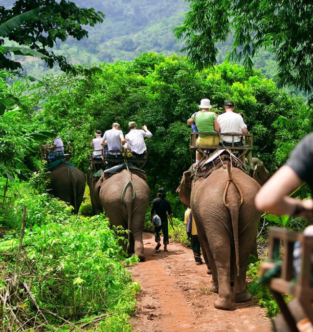 khao sok safari day tour