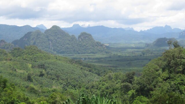 khao sok safari day tour 8