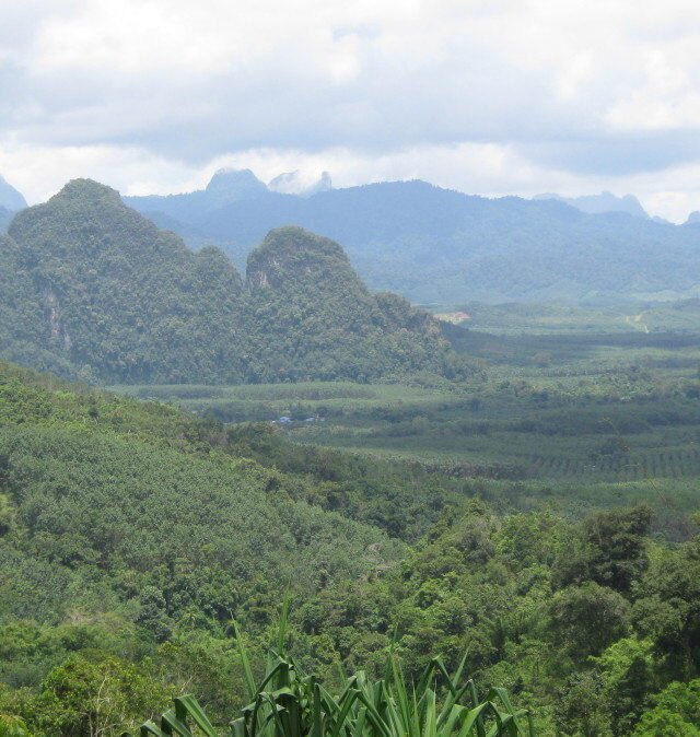khao sok safari day tour 8