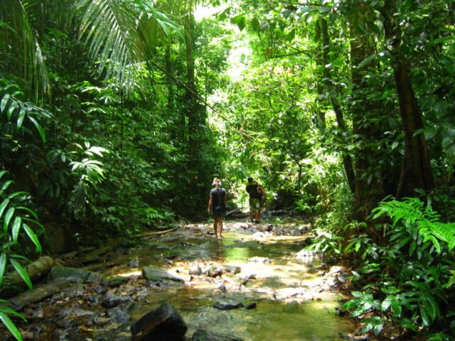 khao sok safari day tour 9