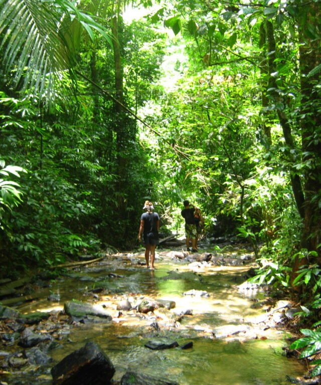khao sok safari day tour 9