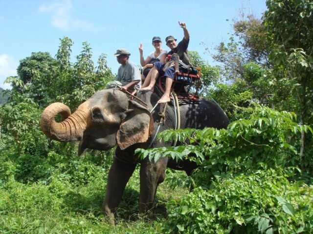 Rafting Elephant Trekking 6