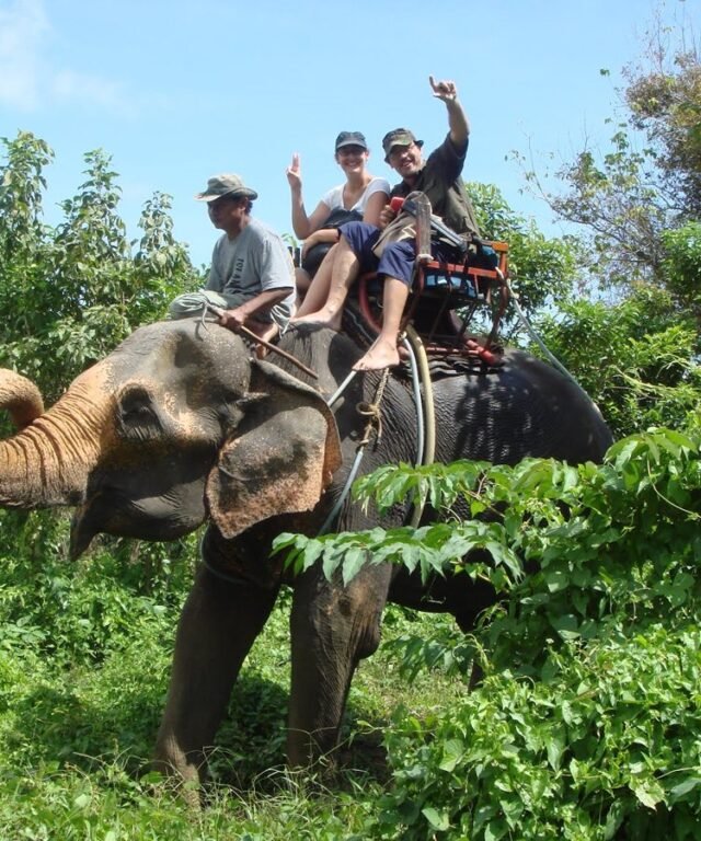 Rafting Elephant Trekking 6