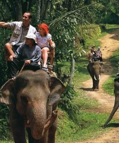 Rafting Elephant Trekking 7