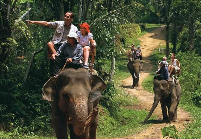 Rafting Elephant Trekking 7