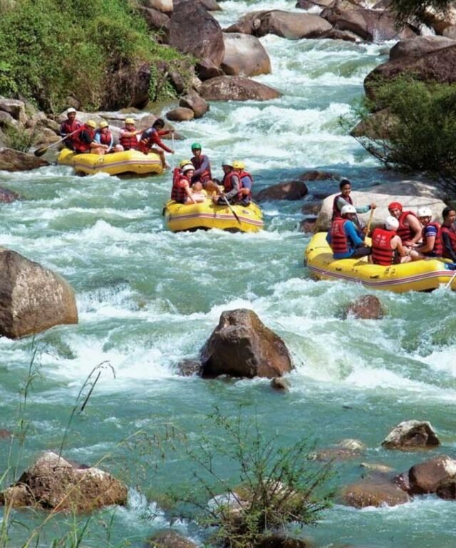Rafting Phuket Elephant Trekking