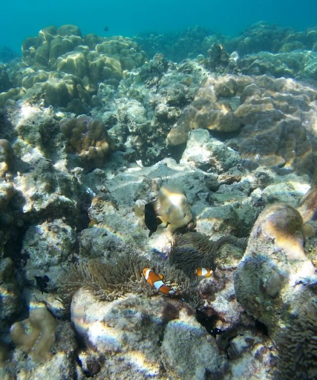 Mai Ton Island Tour 11