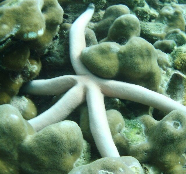 Mai Ton Island Tour 3