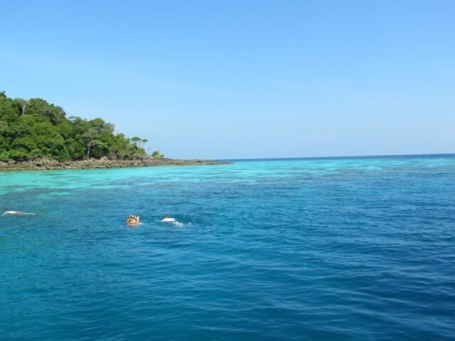 Surin Island Day Tour 10