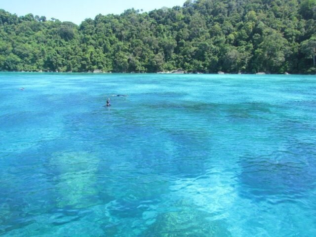 Surin Island Day Tour