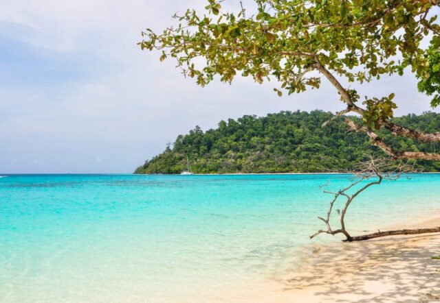Koh Rok Island Koh Haa Island Premium - Image 3