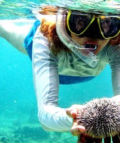 Krabi Islands Tour Premium Snorkeling