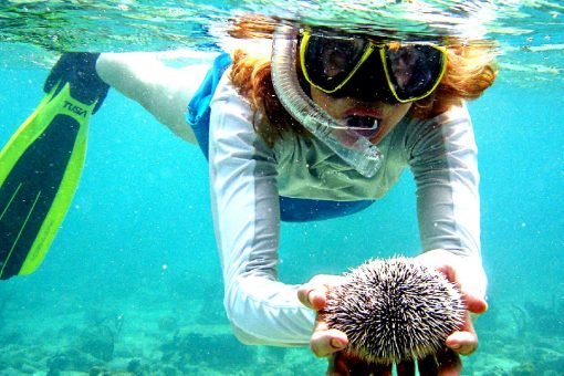 Krabi Islands Tour Premium Snorkeling
