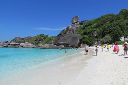similan islands day tour relax