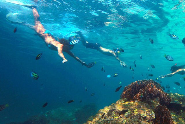 similan islands day tour snorkeling