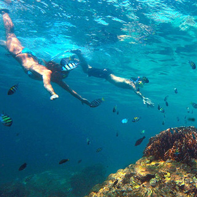 similan islands day tour snorkeling