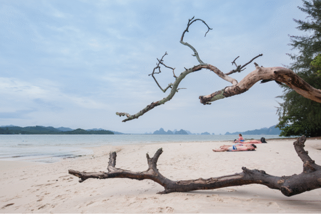 Phuket Catamaran Boat Day Tours 2