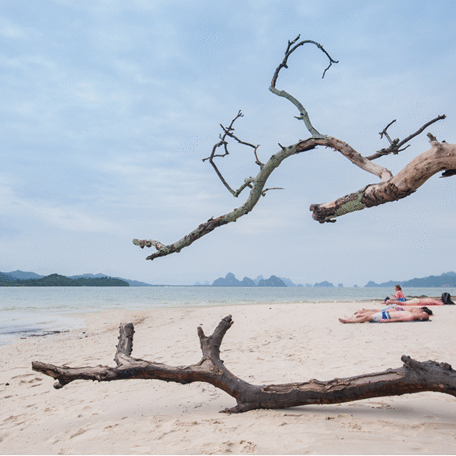 Phuket Catamaran Boat Day Tours 2