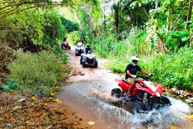 elephant trekking phuket atvb go around