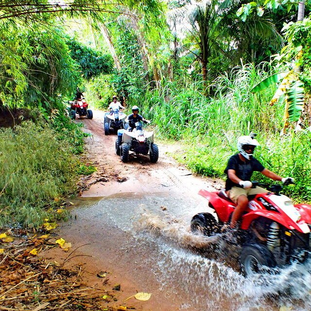 elephant trekking phuket atvb go around