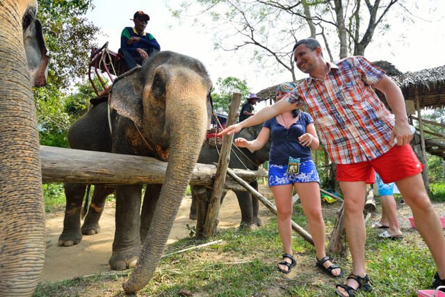 Semplice Phuket Khaosok discovery Elephant